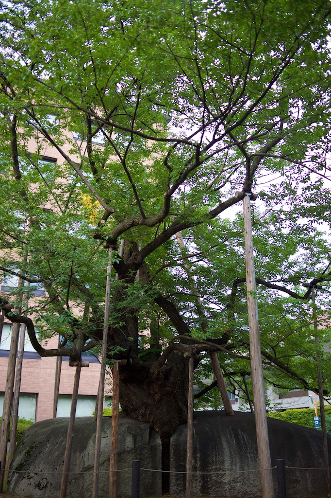 b0247073_22505255.jpg