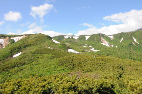 f0130376_2105666.jpg