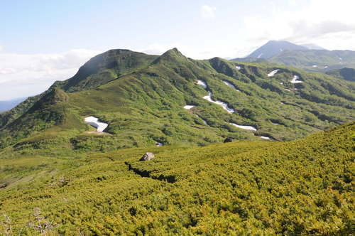 f0130376_2154415.jpg
