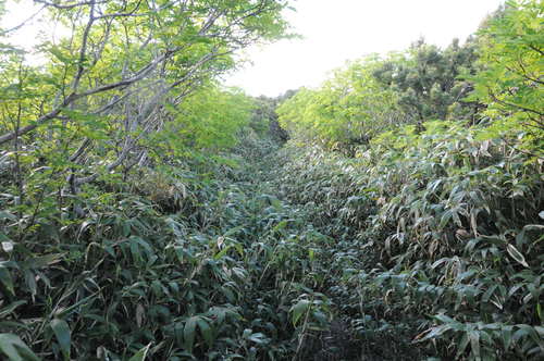 f0130376_2192340.jpg