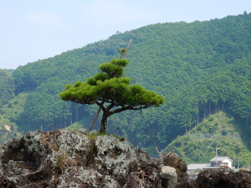 f0054677_07550008.jpg