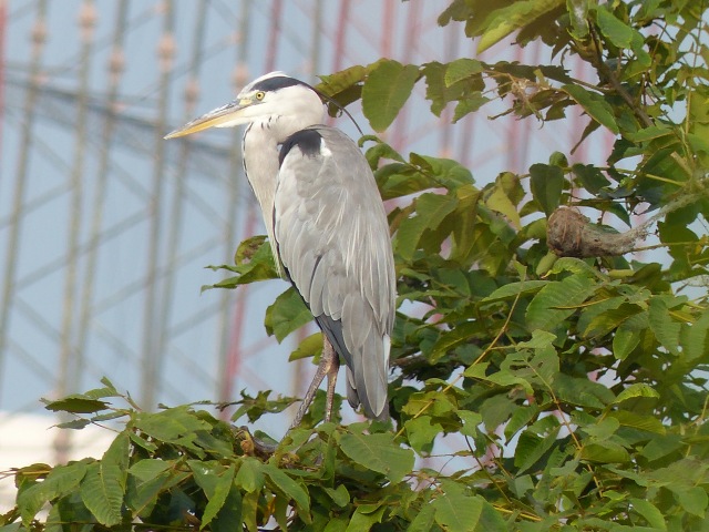 f0357487_22592327.jpg