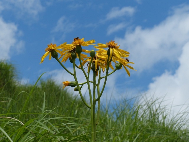 f0357487_23101533.jpg
