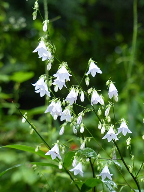 f0357487_2344719.jpg