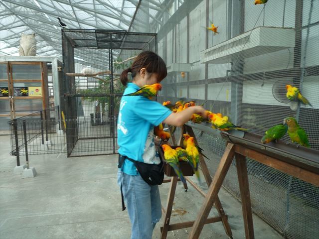 b0287088_17060834.jpg