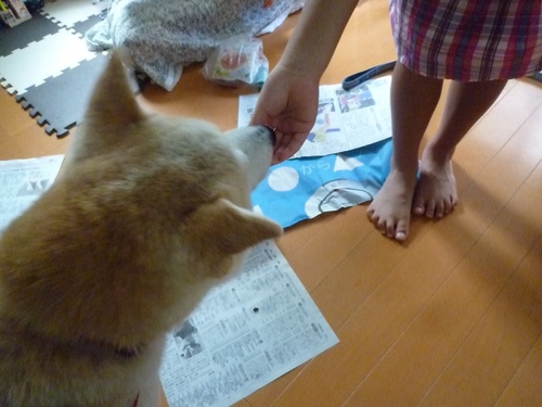 c0123890_20184659.jpg
