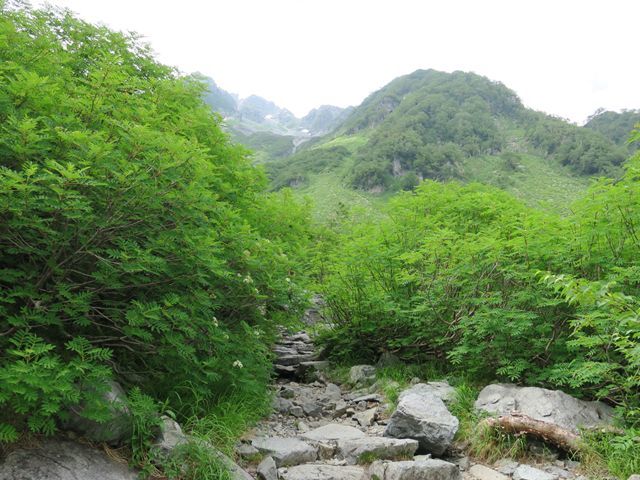 e0271890_14580268.jpg