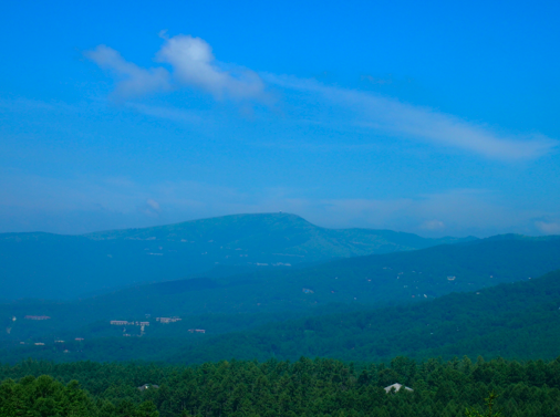 a0146493_100634.png