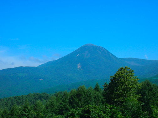 a0146493_9594091.png