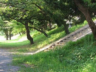 f0181394_15000149.jpg