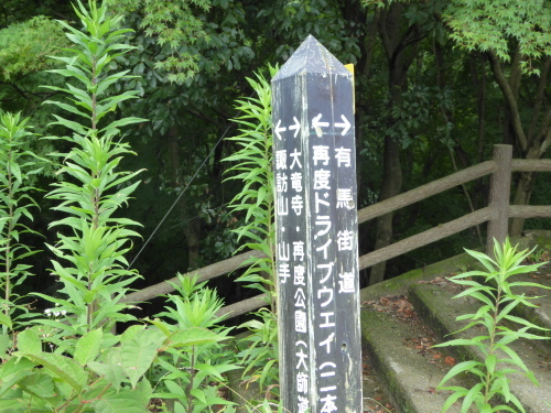 b0321595_00223853.jpg