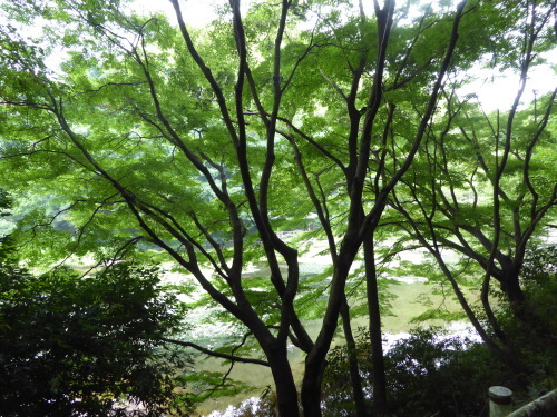 b0321595_00234885.jpg