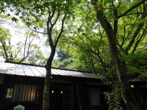 b0321595_00403597.jpg