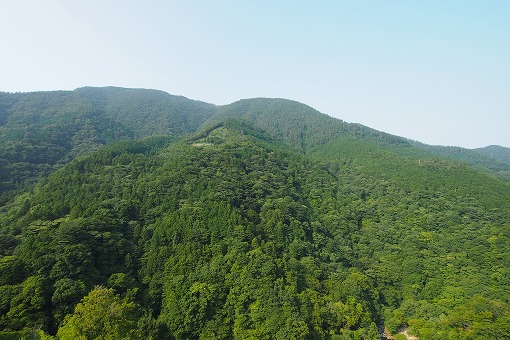 e0160595_0434953.jpg