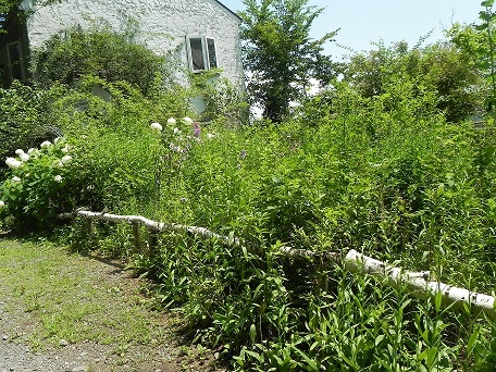 c0152002_18024551.jpg