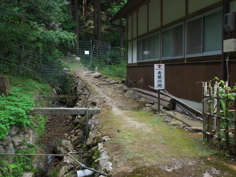 c0043403_21365134.jpg