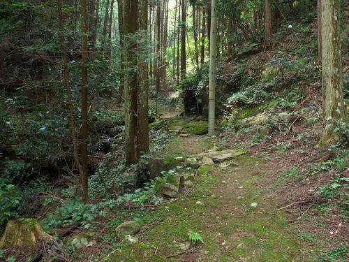 c0043403_2139237.jpg