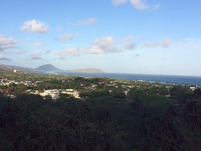 b0171411_1503885.jpg