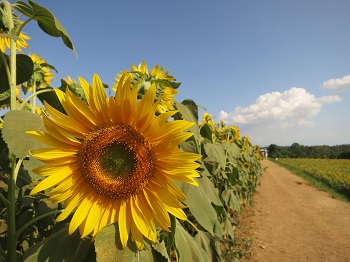 d0027711_1214425.jpg