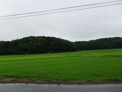 f0221017_12331340.jpg