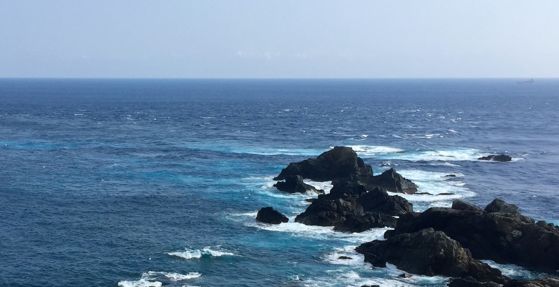 f0100920_2131124.jpg