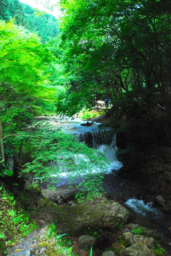 c0150224_86583.jpg