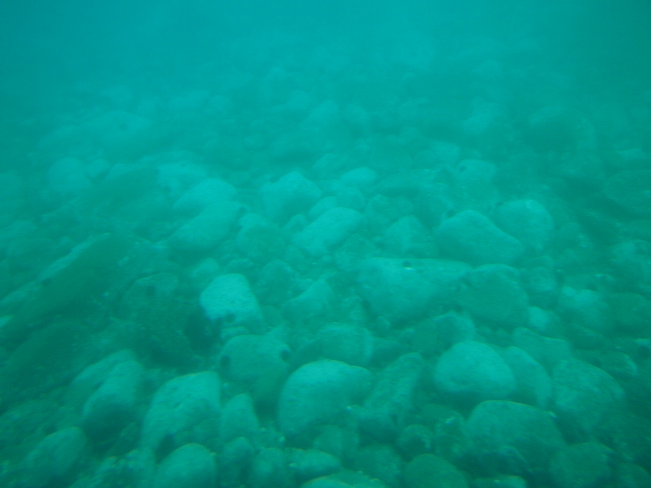 c0234728_20164741.jpg