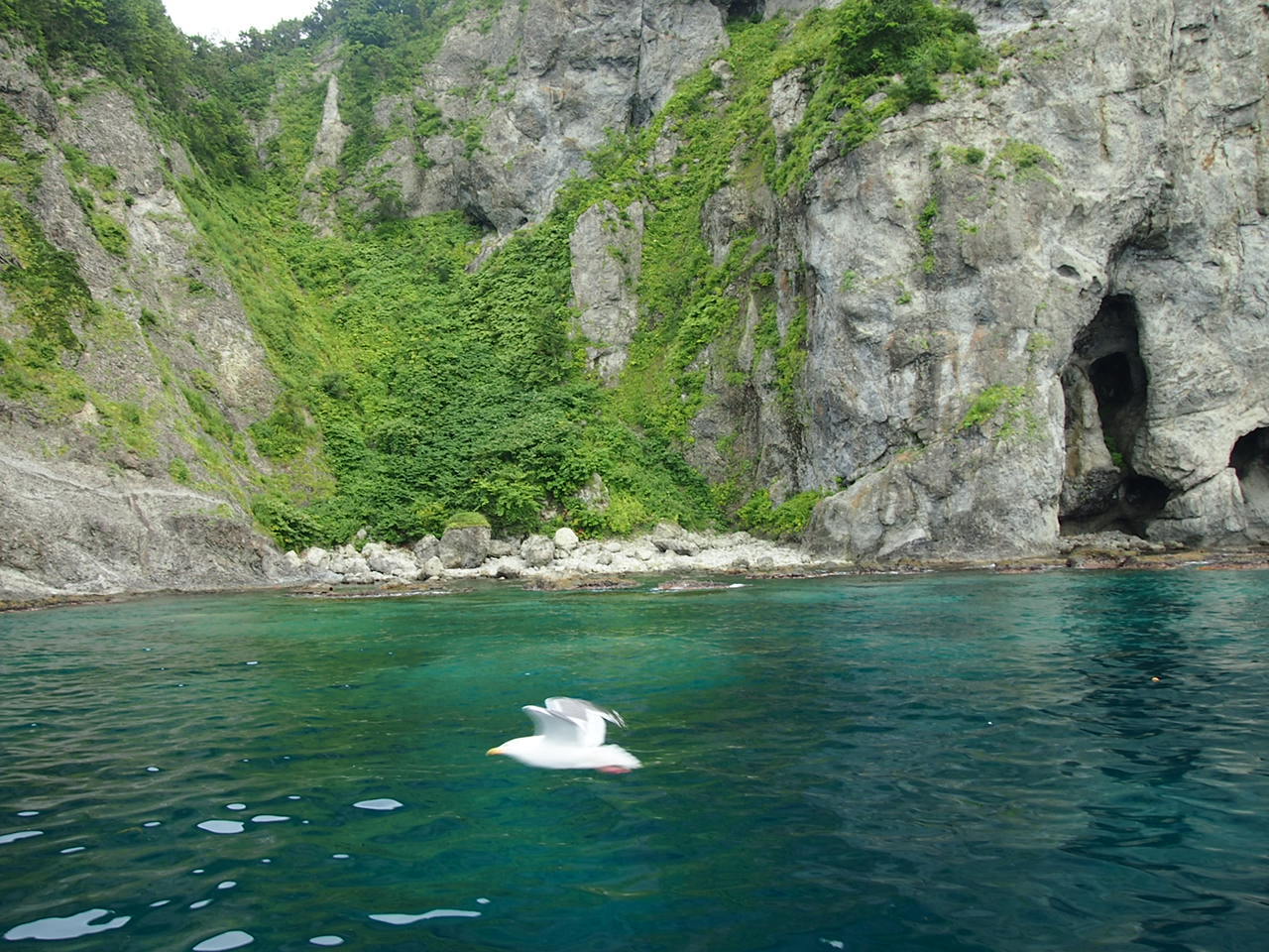 c0234728_20235016.jpg