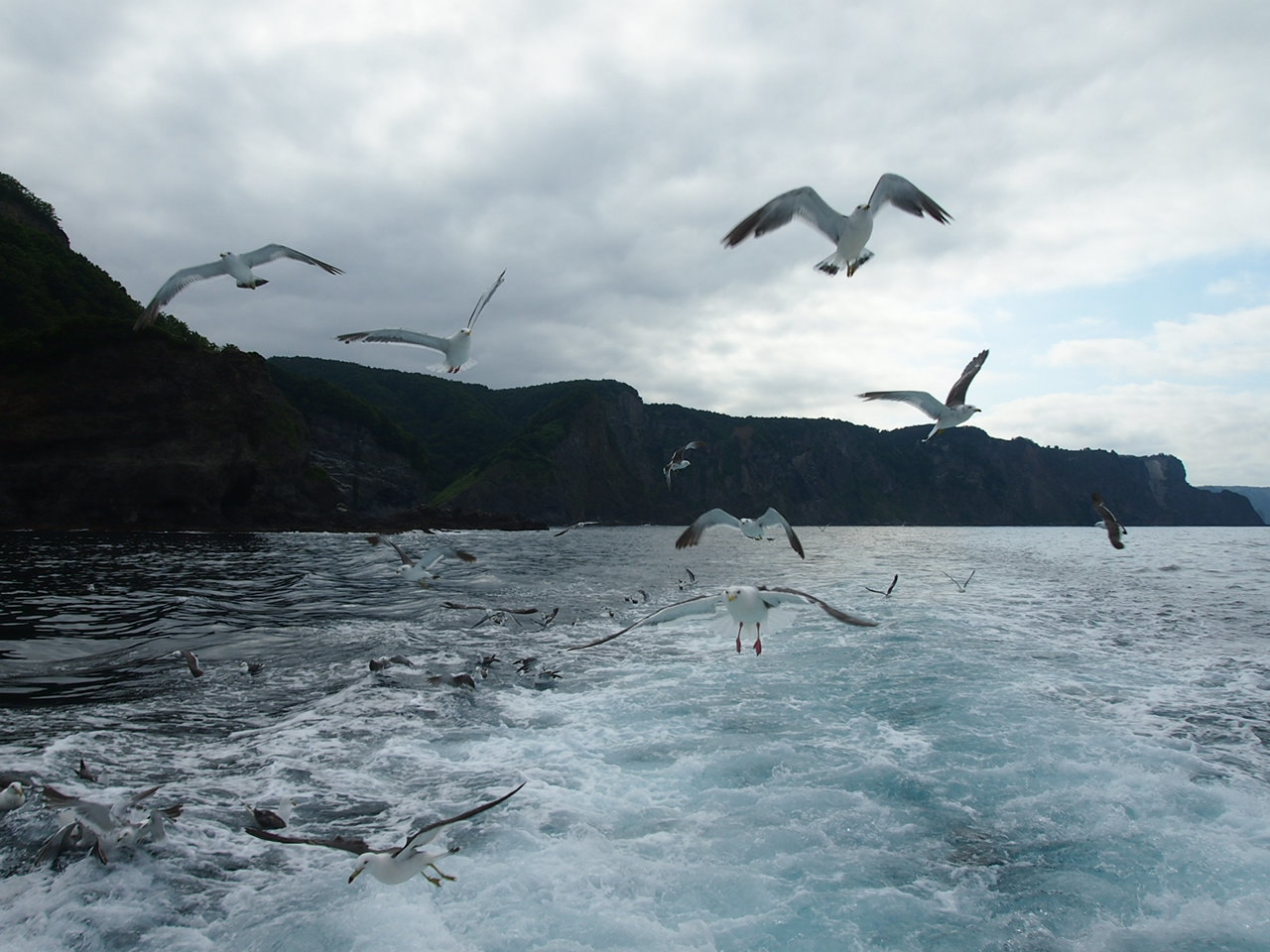 c0234728_20274175.jpg