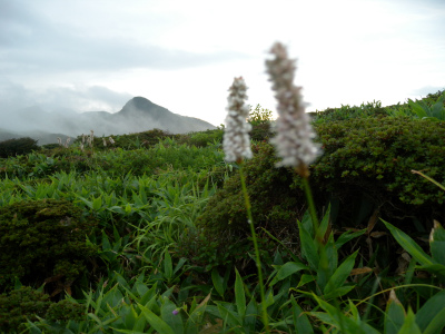 e0272335_16332552.jpg