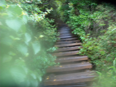 e0272335_17533757.jpg