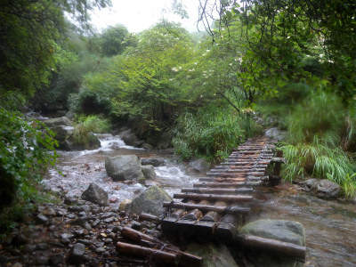 e0272335_184499.jpg