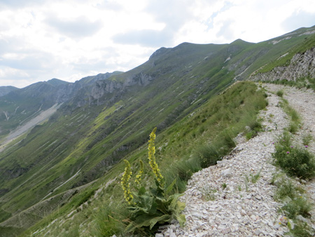 f0234936_0394080.jpg