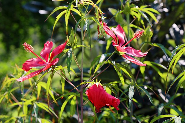 a0242438_18284247.jpg