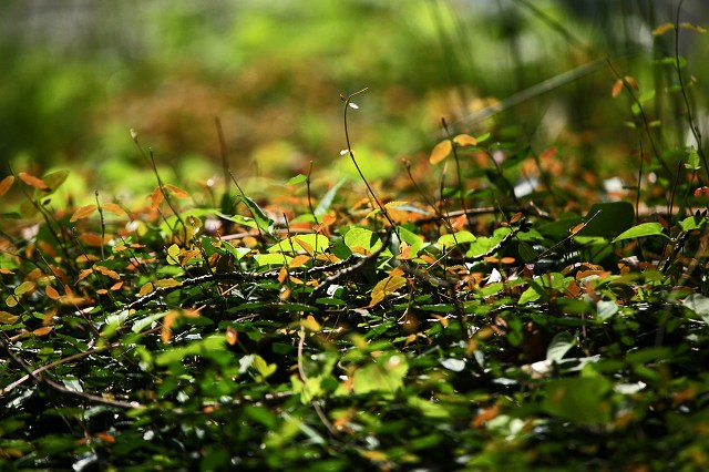 a0242438_18301066.jpg