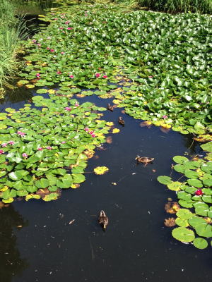b0001440_14361535.jpg