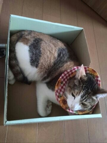 c0194042_09072491.jpg