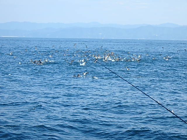 a0248152_20445397.jpg