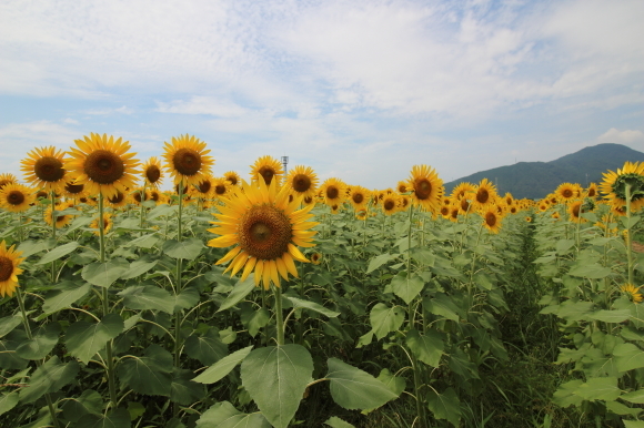 b0243152_10312470.jpg