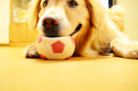 f0044853_20325734.jpg