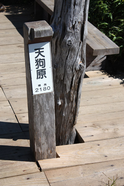 a0154957_8171565.jpg