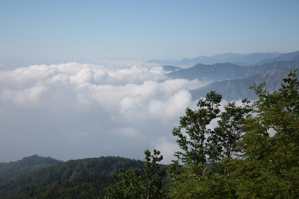 a0154957_87478.jpg