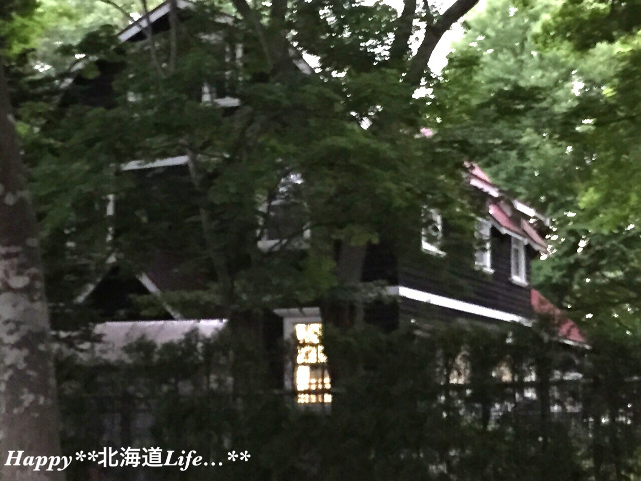 a0337860_23381711.jpg