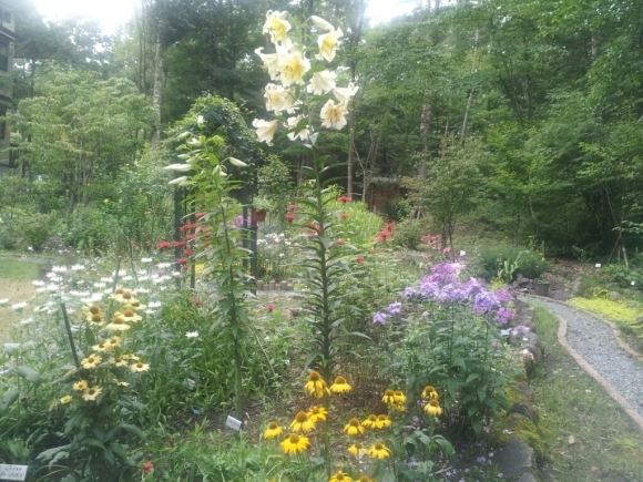 e0088260_07542933.jpg