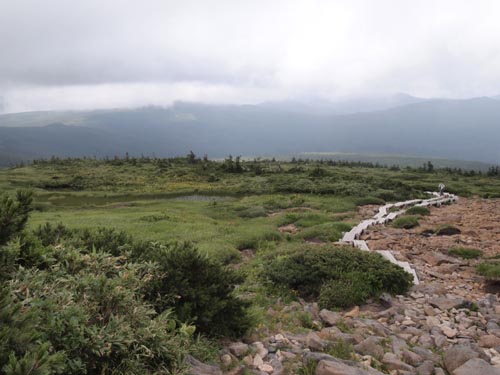c0011862_20485945.jpg