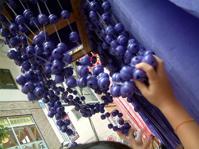 c0050264_1532046.jpg