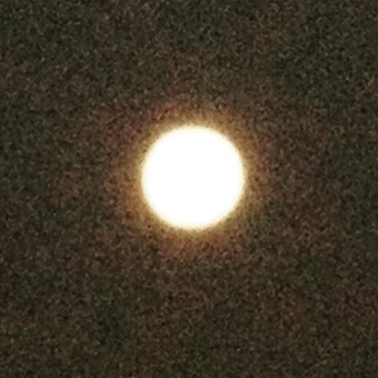 e0161972_17464616.jpg