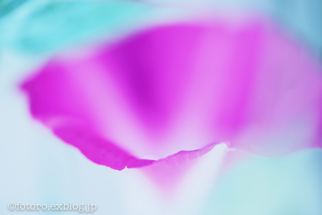 c0268775_06390119.jpg