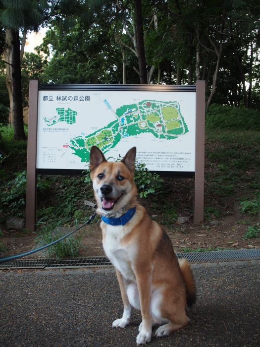 b0246876_00424736.jpg