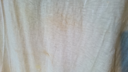c0226387_17324882.jpg